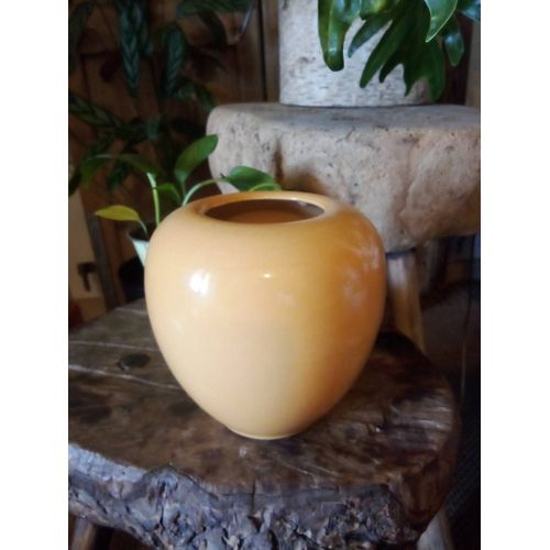 Pot de fleurs ou vase