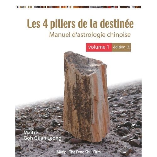 Les 4 Piliers De La Destinee - Vol 1 (3e Ed) En Couleur - Volume 1