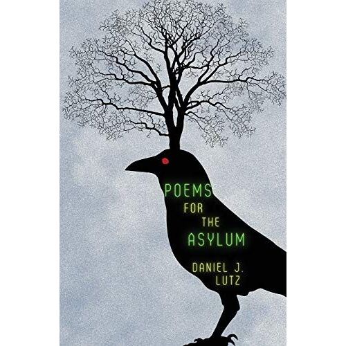 Poems For The Asylum