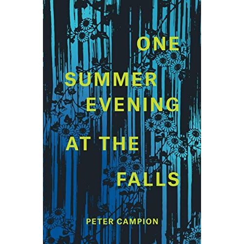 One Summer Evening At The Falls
