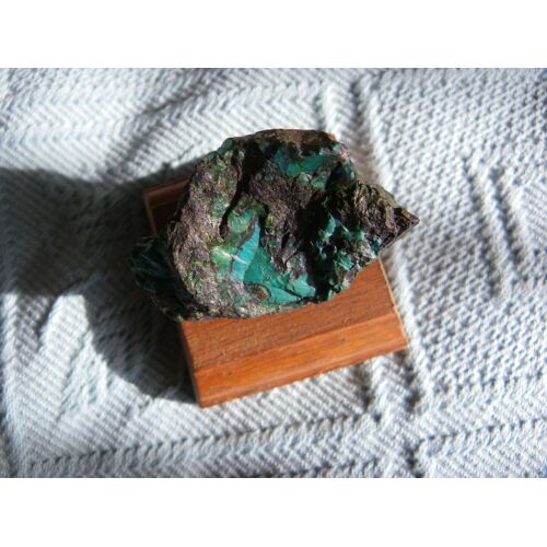 Chrysocolle Brute
