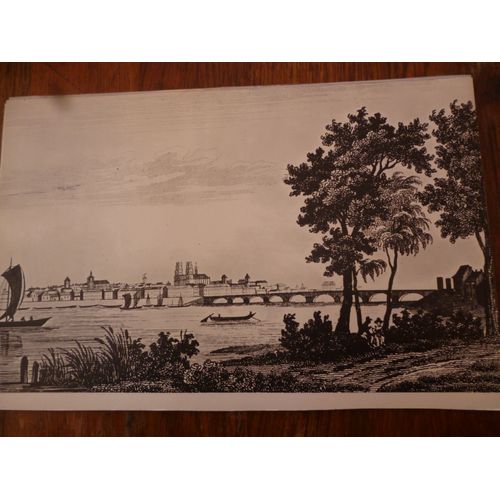 Reproduction De Gravure :Orléans Au 19 Ème Siècle Vu Du Quartier St Marceau.