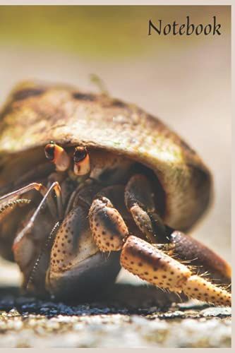 Notebook - 2. Animal 25, Animal Notebook- Journal For Girls Kids & Women Towrite In & Doodle(Animal Notebooks For Kids): Notebook Planner - 6x9 Inch ... Do List Notebook, Daily Organizer, 114 Pages