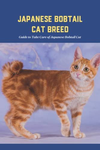 Japanese Bobtail Cat Breed: Guide To Take Care Of Japanese Bobtail Cat: Japanese Bobtail Cat