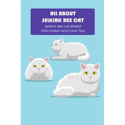 All About Selkirk Rex Cat: Selkirk Rex Cat Breed Information And Care Tips: Selkirk Rex Cat Breed