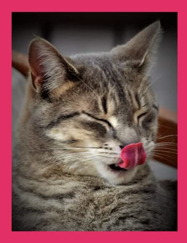 Notebook: Enjoy Life - Cahier: Profitez De La Vie