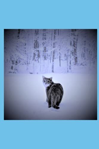 Notebook: Adventure Calls - Cahier: À L'aventure