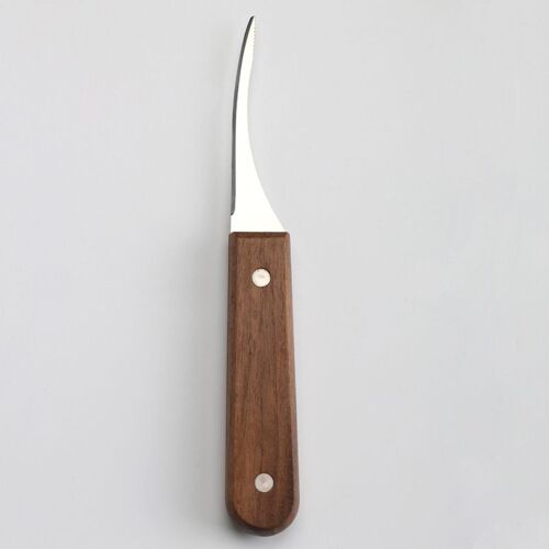 Couteaux À Éplucher En Acier Inoxydable, Shriajcorriged, Shriajline, Outils Pratiques Pour Les Fruits De Mer, Fournitures De Cuisine Portables, 1pc