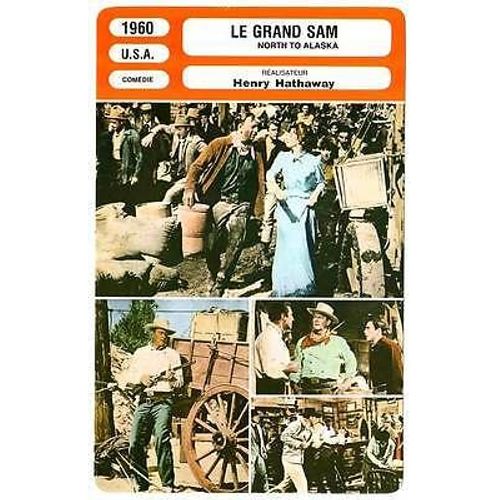 Fiche Monsieur Cinema Le Grand Sam