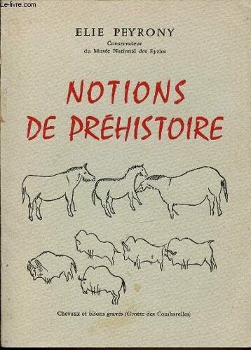 Notions De Prehistoire.