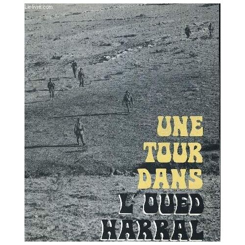 Une Tour Dans L Oued Harral
