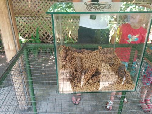 Les Porcelainiers Du Xviiième Siècle Français