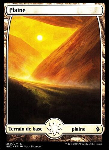 Plaine - La Bataille De Zendikar Vf - C - 250/274