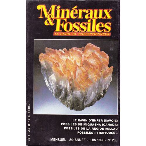 Minéraux Et Fossiles Le Guide Du Collectionneur N° 263 