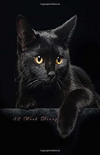 52 Week Diary: Black Cat