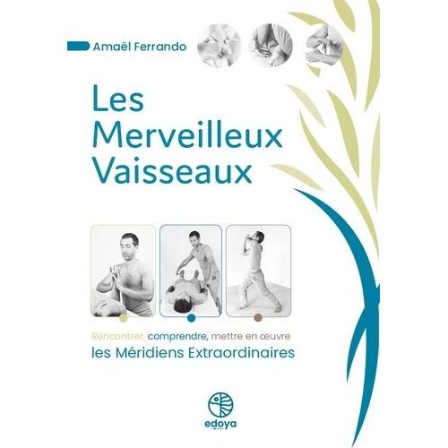 Les Merveilleux Vaisseaux - Rencontrer, Comprendre, Mettre En Oeuvre Les Méridiens Extraordinaires