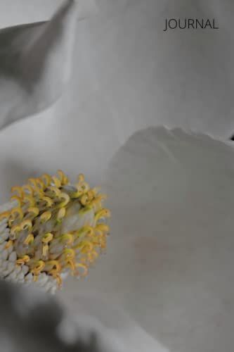 Leslie's White Flower