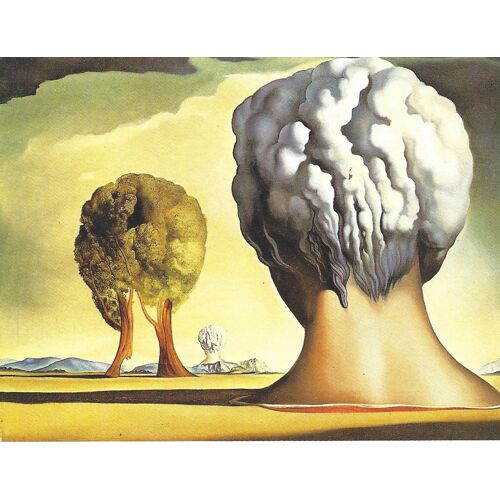 Cartes Postales Tableaux Salvador Dali
