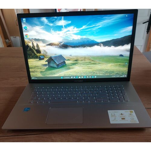 Asus Vivobook X712EA F712 - 17.1"Intel Pentium Gold 7505 - 2 Ghz - Ram 8 Go - DD 480 Go