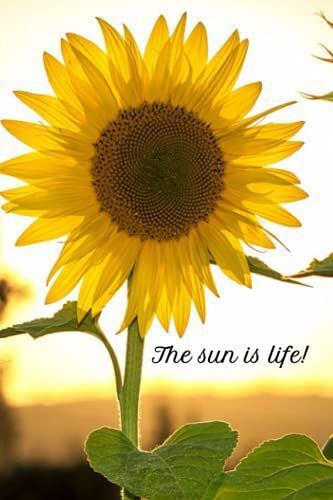The Sun Is Life- Notebook, Journal