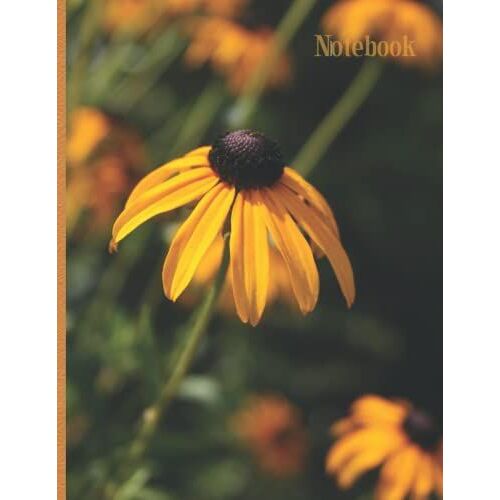 Notebook: Black-Eyed Susan Notebook Lined 120 Pages