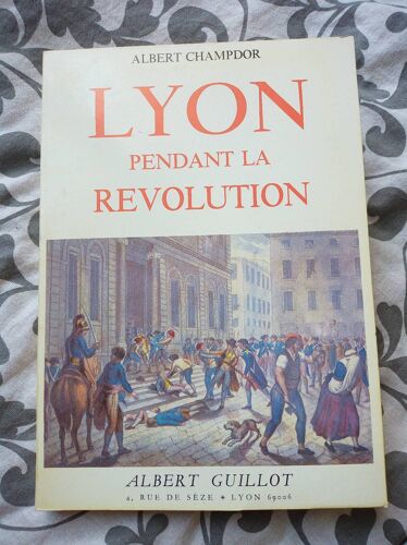 Lyon Pendant La Re¿Volution 1789-1793