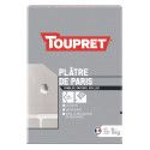 Plâtre de Paris blanc extra fin comble dresse scelle moule 1kg TOUPRET