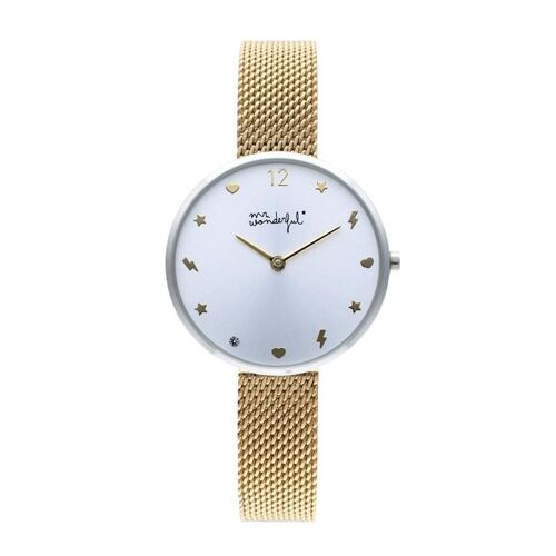 Montre Mr Wonderful Wr80101