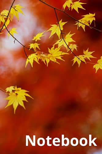 Notebook, College Ruled , Comp Book, Lined Journal, Composition Book, 150 Sheets, 6" X 9", Premium Thick Paper | Mother Nature: N9: Best For Office, School, College, Home, And Daily Notetaking Needs.