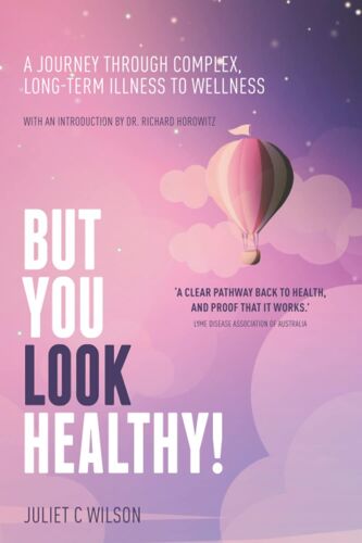 But You Look Healthy!: A Journey Through Complex, Long-Term Illness To Wellness