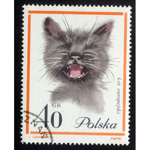 Timbre Polska,Kot Europejski,40gr
