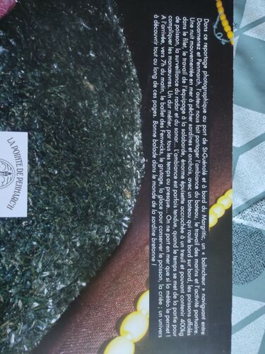 Les Penn Sardin Bigourdens