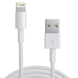 Cable de charge pour iPhone 5 / s / c / 6 / iPad / iPod - 1 Mètre