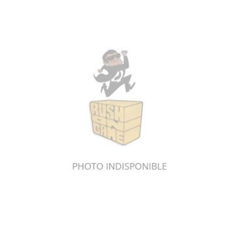 Just Dance Kids + Les Schtroumpfs : Dance Party Nintendo Dsi