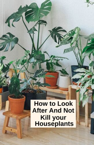 How To Look After And Not Kill Your Houseplants: The Science Of Cultivating Your Houseplants, A Complete Guide To Choosing, Growing, And Caring So ... Thrive And The Art Of Not Killing Them!