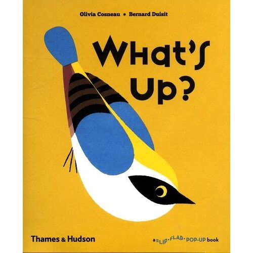 What's Up?