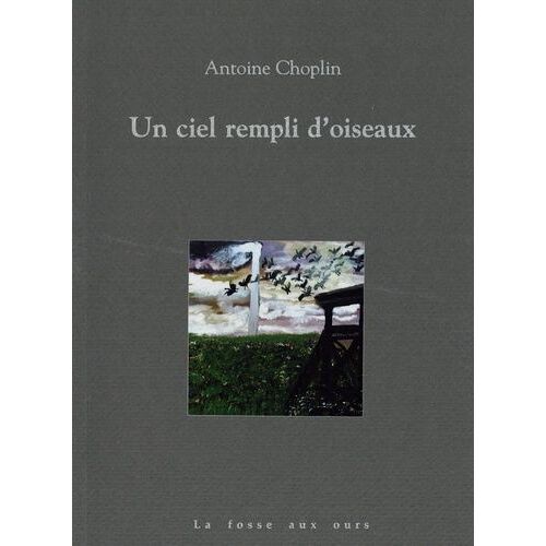 Un Ciel Rempli D'oiseaux