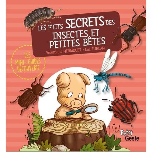 Les P'tits Secrets Des Insectes Et Petites Bêtes