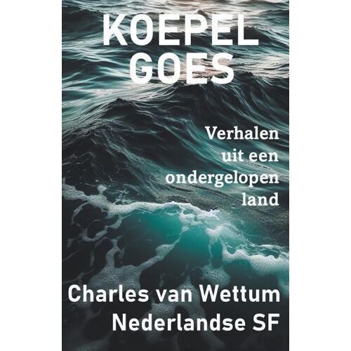 Koepel Goes