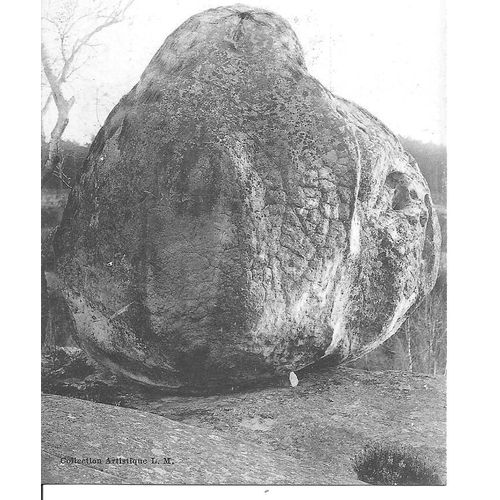 La Poire Des Druides