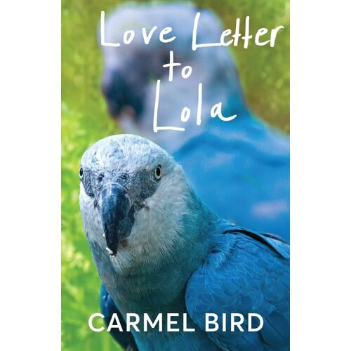 Love Letter To Lola