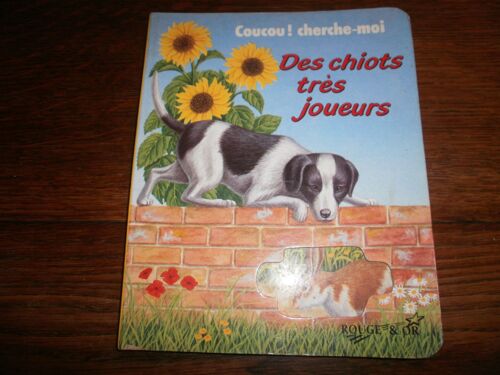 Des Chiots Tres Joueurs Car