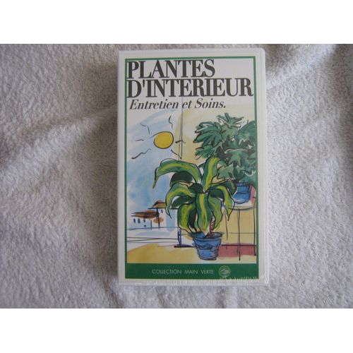 Plantes D'interieur Entretien Et Soins