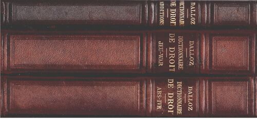 Dictionnaire Pratique De Droit - 6° Édition - 2 Tomes + Additions Au Dictionnaire 1922