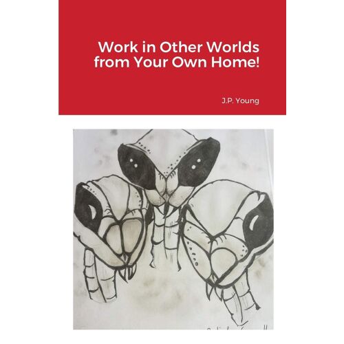 Work In Other Worlds From Your Own Home!