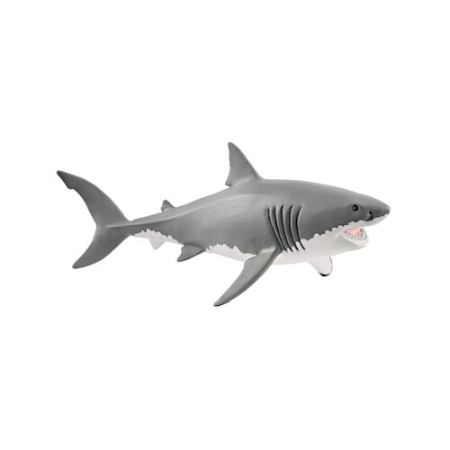 Wild Life Requin blanc