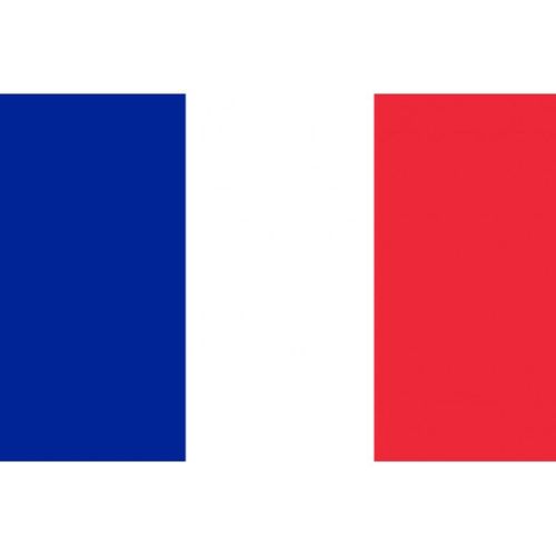 Drapeau France - 5x3.3cm - Sticker/Autocollant