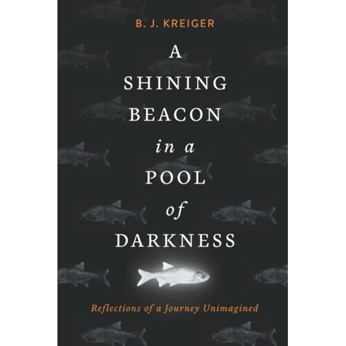 A Shining Beacon In A Pool Of Darkness