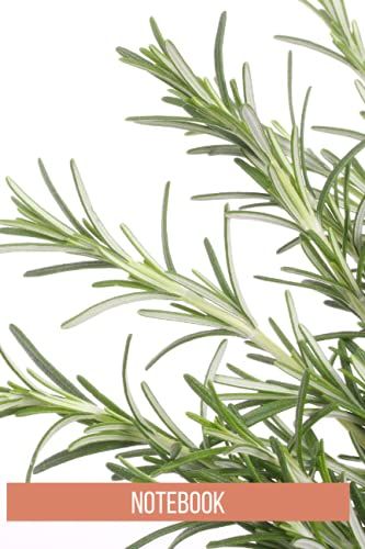 Rosemary Notebook: Blank Lined Composition Journal | Rosemary Notebook | 100 Pages