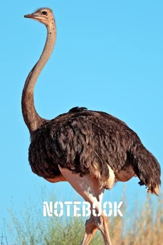 Jasmine Notebook: Blank Lined Composition Journal | Jasmine Notebook | 100 Pages